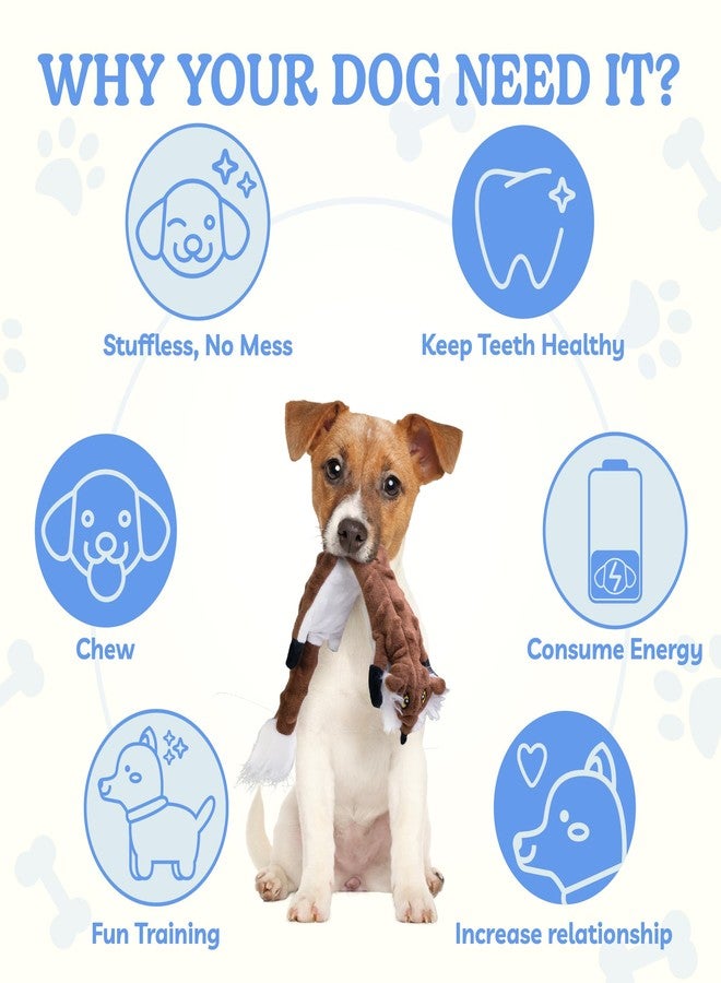 SHARLOVY Dog Squeaky Toys 5 Pack, Bubble Plush Puppy Teething Pet Toys, Crinkle No Stuffing Animals Dog Toy, Doggies Chew for Large Small Medium Breeds - Image 5